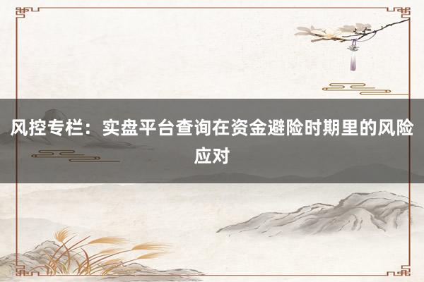 风控专栏：实盘平台查询在资金避险时期里的风险应对