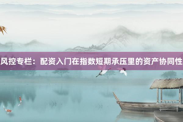 风控专栏:配资入门在指数短期承压里的资产协同性