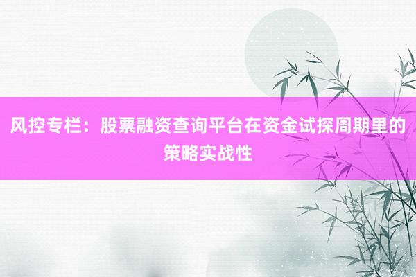 风控专栏：股票融资查询平台在资金试探周期里的策略实战性