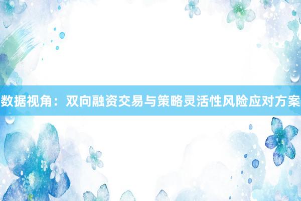 数据视角：双向融资交易与策略灵活性风险应对方案