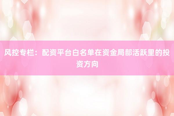 风控专栏：配资平台白名单在资金局部活跃里的投资方向