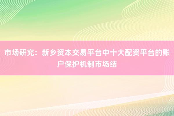 市场研究：新乡资本交易平台中十大配资平台的账户保护机制市场结