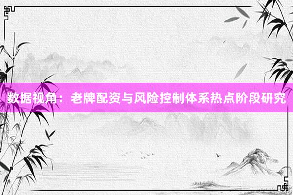 数据视角：老牌配资与风险控制体系热点阶段研究