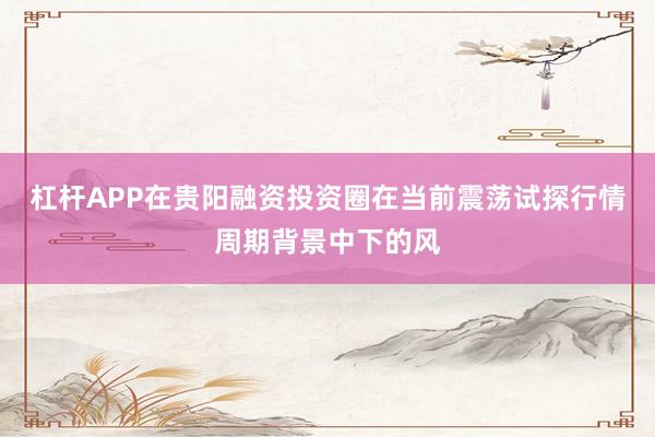杠杆APP在贵阳融资投资圈在当前震荡试探行情周期背景中下的风