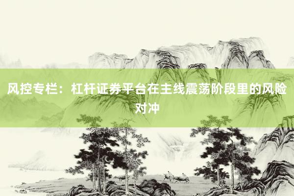 风控专栏:杠杆证券平台在主线震荡阶段里的风险对冲