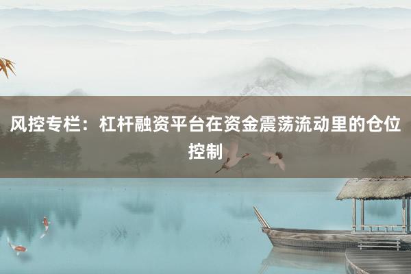 风控专栏：杠杆融资平台在资金震荡流动里的仓位控制