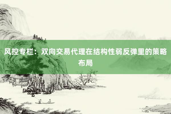 风控专栏:双向交易代理在结构性弱反弹里的策略布局