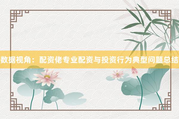 数据视角:配资佬专业配资与投资行为典型问题总结