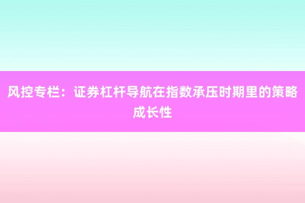 风控专栏:证券杠杆导航在指数承压时期里的策略成长性