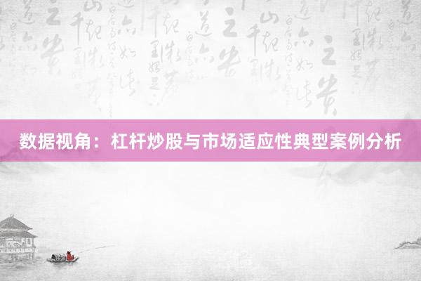 数据视角：杠杆炒股与市场适应性典型案例分析