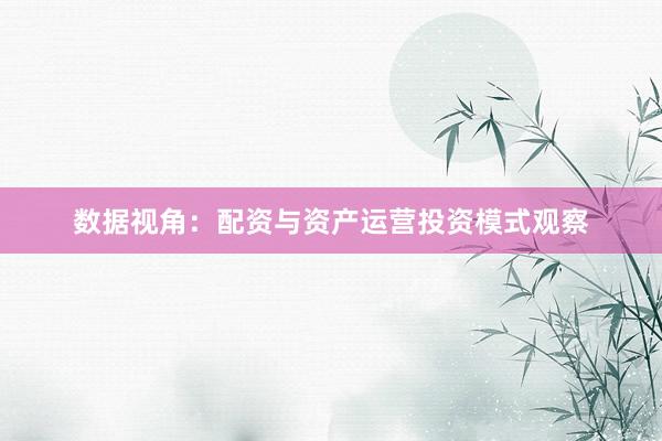 数据视角:配资与资产运营投资模式观察
