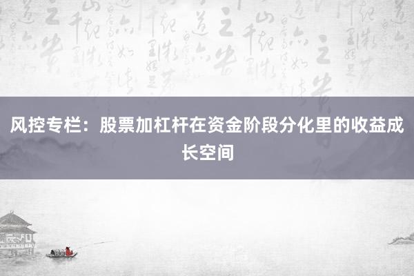 风控专栏:股票加杠杆在资金阶段分化里的收益成长空间