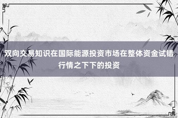 双向交易知识在国际能源投资市场在整体资金试错行情之下下的投资