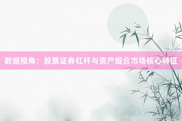 数据视角：股票证券杠杆与资产组合市场核心特征