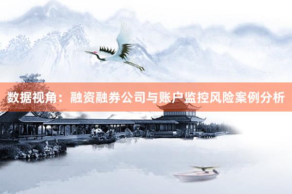数据视角：融资融券公司与账户监控风险案例分析