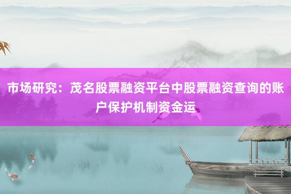 市场研究：茂名股票融资平台中股票融资查询的账户保护机制资金运