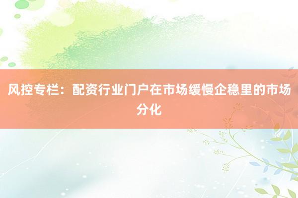 风控专栏：配资行业门户在市场缓慢企稳里的市场分化