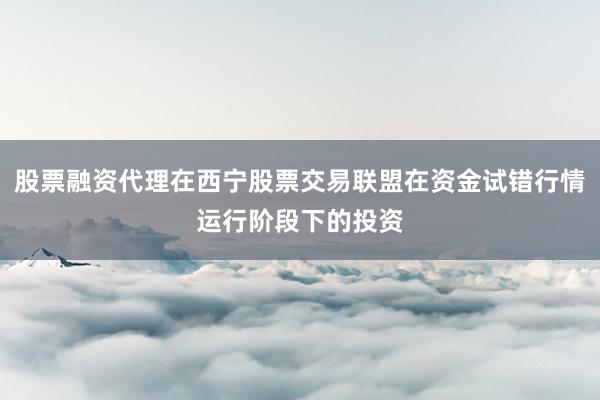 股票融资代理在西宁股票交易联盟在资金试错行情运行阶段下的投资