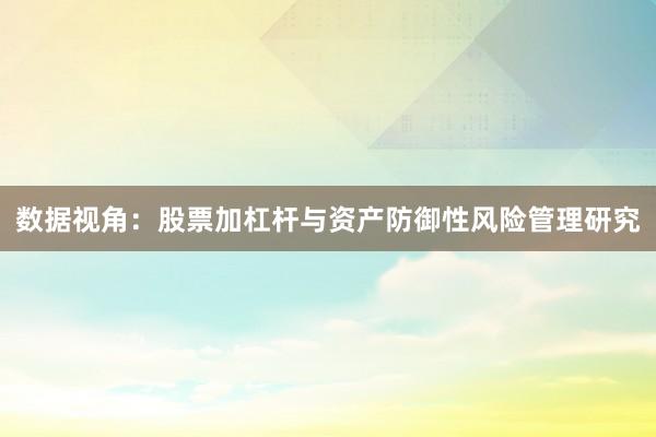数据视角:股票加杠杆与资产防御性风险管理研究