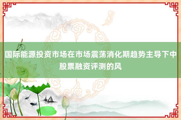 国际能源投资市场在市场震荡消化期趋势主导下中股票融资评测的风