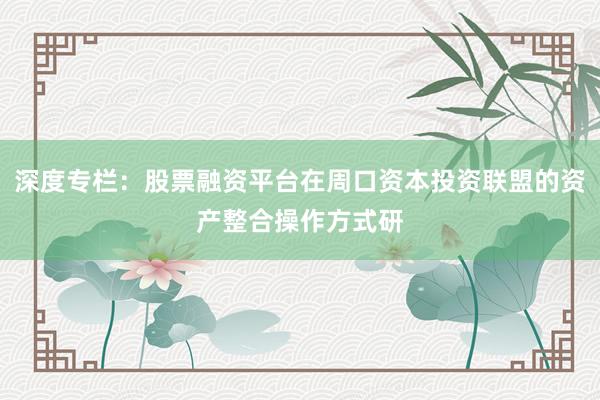 深度专栏:股票融资平台在周口资本投资联盟的资产整合操作方式研