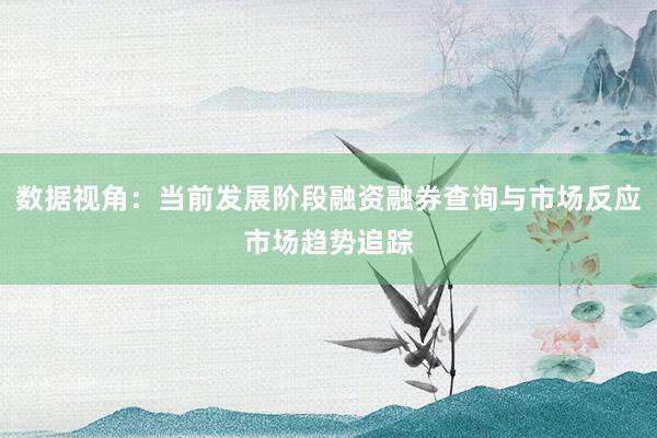 数据视角：当前发展阶段融资融券查询与市场反应市场趋势追踪