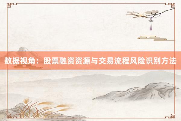 数据视角：股票融资资源与交易流程风险识别方法