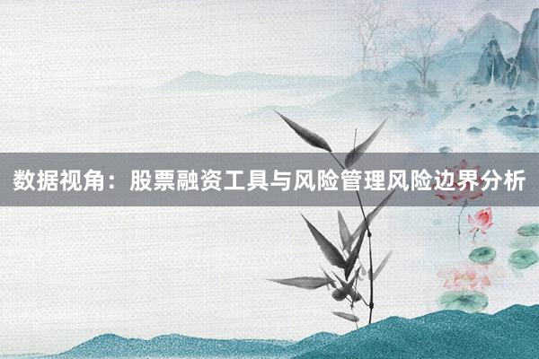 数据视角：股票融资工具与风险管理风险边界分析