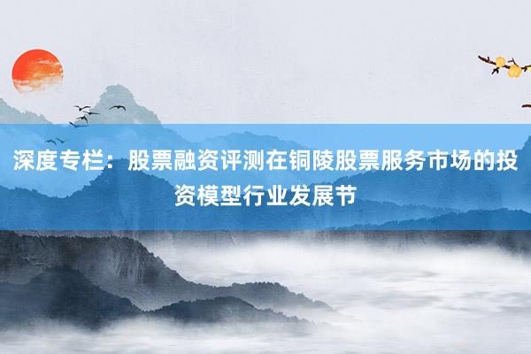 深度专栏：股票融资评测在铜陵股票服务市场的投资模型行业发展节