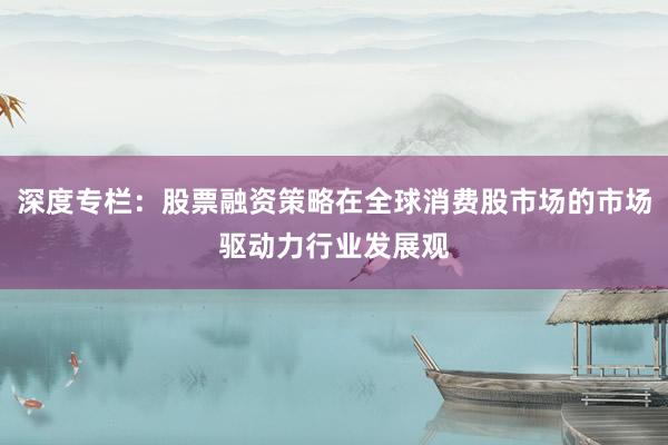 深度专栏：股票融资策略在全球消费股市场的市场驱动力行业发展观