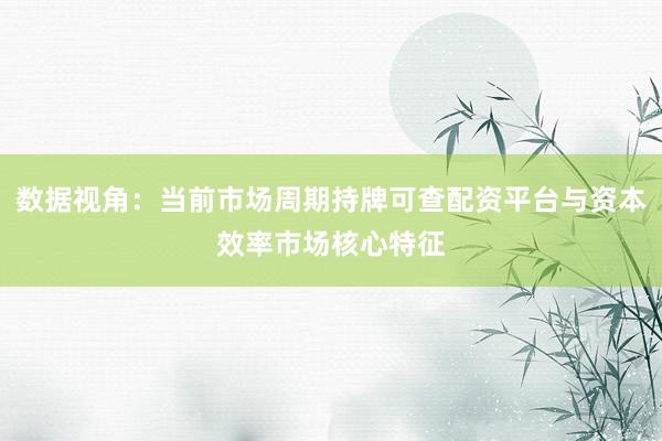 数据视角：当前市场周期持牌可查配资平台与资本效率市场核心特征