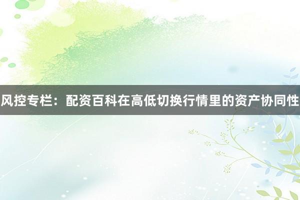 风控专栏：配资百科在高低切换行情里的资产协同性