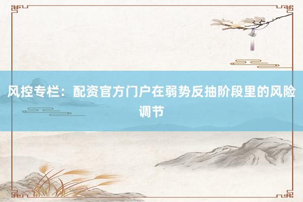 风控专栏：配资官方门户在弱势反抽阶段里的风险调节