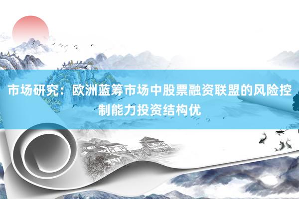 市场研究：欧洲蓝筹市场中股票融资联盟的风险控制能力投资结构优