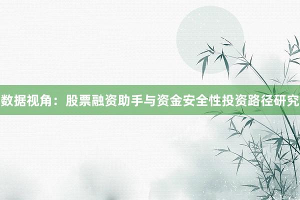 数据视角：股票融资助手与资金安全性投资路径研究