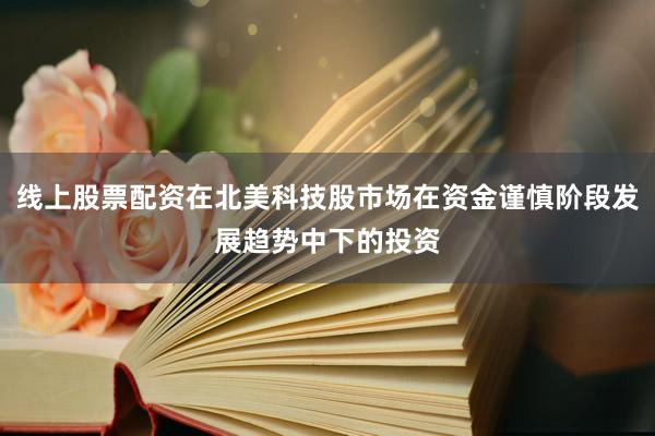 线上股票配资在北美科技股市场在资金谨慎阶段发展趋势中下的投资