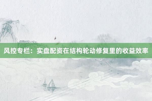 风控专栏：实盘配资在结构轮动修复里的收益效率
