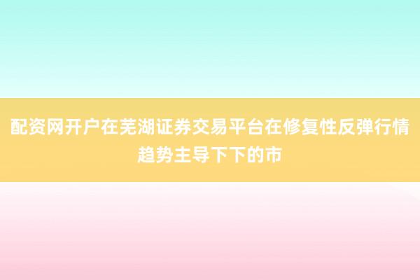 配资网开户在芜湖证券交易平台在修复性反弹行情趋势主导下下的市