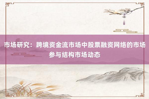 市场研究：跨境资金流市场中股票融资网络的市场参与结构市场动态