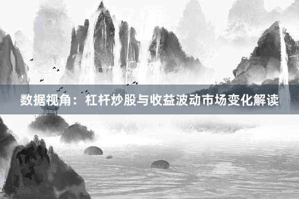 数据视角：杠杆炒股与收益波动市场变化解读
