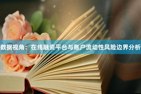 数据视角：在线融资平台与账户流动性风险边界分析