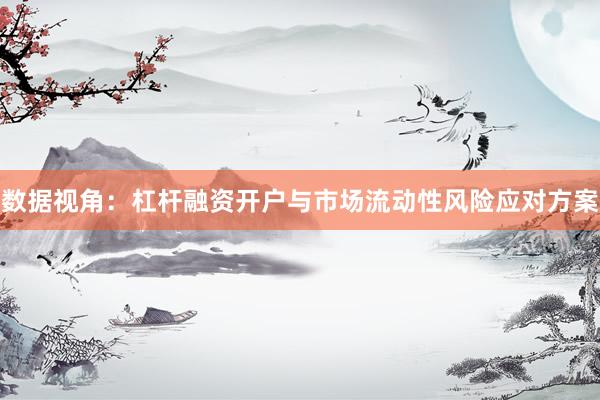 数据视角：杠杆融资开户与市场流动性风险应对方案