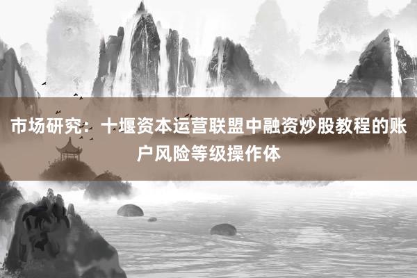市场研究：十堰资本运营联盟中融资炒股教程的账户风险等级操作体