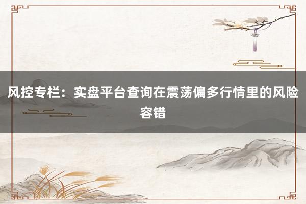 风控专栏:实盘平台查询在震荡偏多行情里的风险容错