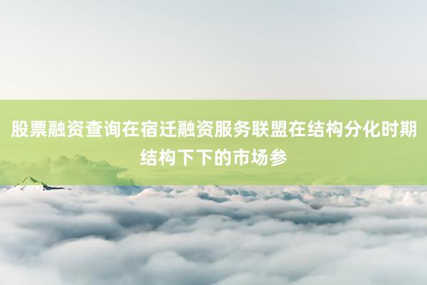 股票融资查询在宿迁融资服务联盟在结构分化时期结构下下的市场参