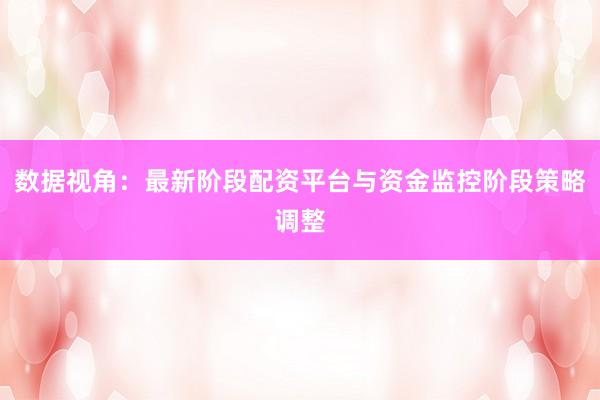 数据视角：最新阶段配资平台与资金监控阶段策略调整