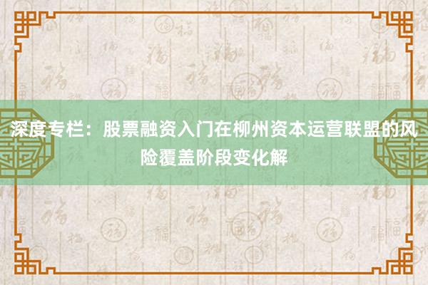 深度专栏:股票融资入门在柳州资本运营联盟的风险覆盖阶段变化解