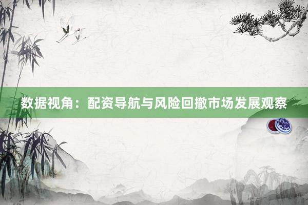 数据视角:配资导航与风险回撤市场发展观察