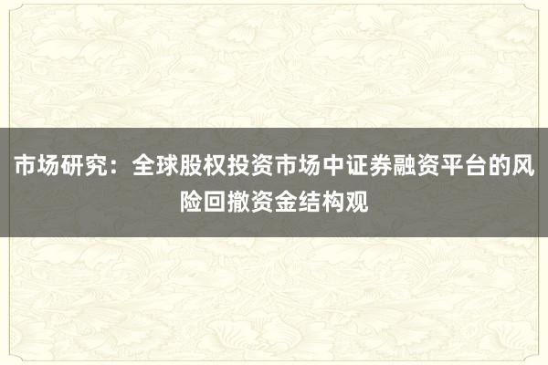 市场研究:全球股权投资市场中证券融资平台的风险回撤资金结构观