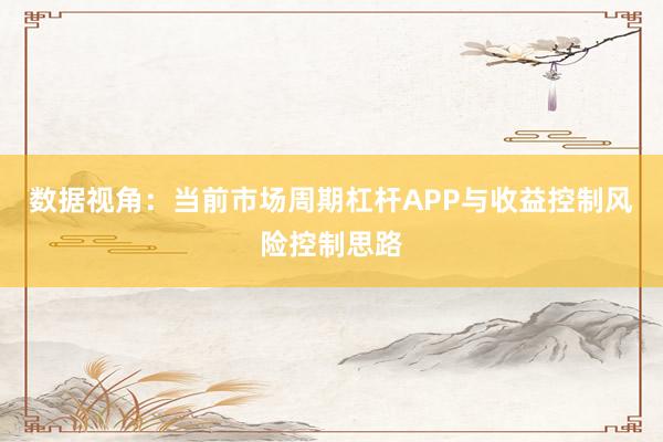 数据视角：当前市场周期杠杆APP与收益控制风险控制思路